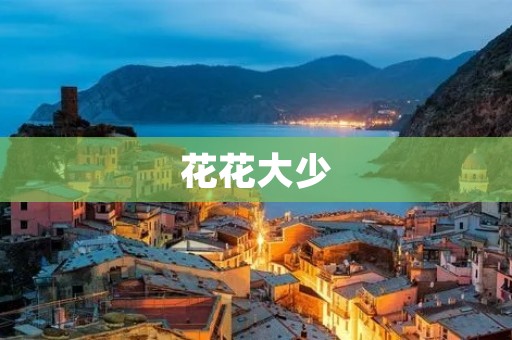 花花大少:一个年轻人的奋斗史 花花大少:一个年轻人的奋斗史