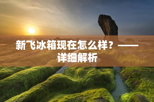 新飞冰箱现在怎么样?——详细解析 新飞冰箱现在怎么样?——详细解析