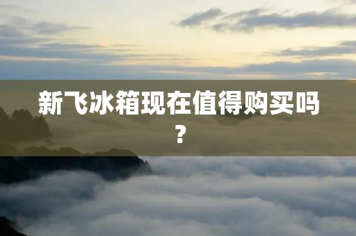 新飞冰箱现在值得购买吗? 新飞冰箱现在值得购买吗?