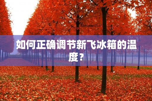 如何正确调节新飞冰箱的温度? 如何正确调节新飞冰箱的温度?