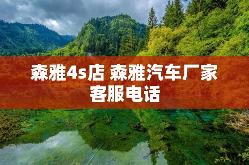 森雅4s店 森雅汽车厂家客服电话