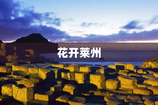花开莱州：走进山海间的花海世界
