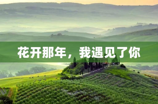 花开那年,我遇见了你 花开那年,我遇见了你