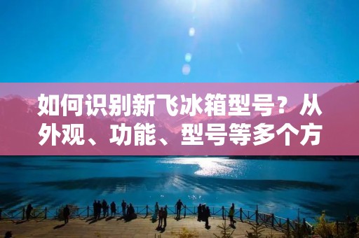 如何识别新飞冰箱型号?从外观、功能、型号等多个方面入手,为您详细解析。 如何识别新飞冰箱型号?从外观、功能、型号等多个方面入手,为您详细解析。