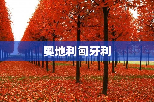 奥地利匈牙利：两国的历史与文化交融