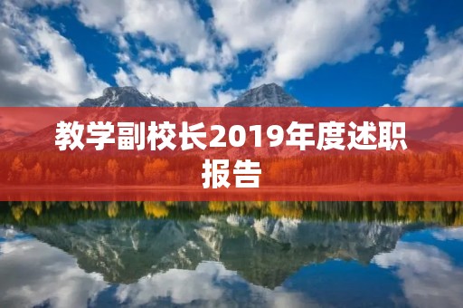 教学副校长2019年度述职报告