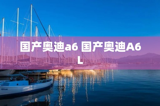国产奥迪a6 国产奥迪A6L