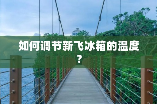 如何调节新飞冰箱的温度? 如何调节新飞冰箱的温度?