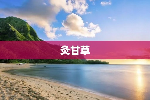 灸甘草:缓解疼痛、提高免疫力的神奇功效 灸甘草:缓解疼痛、提高免疫力的神奇功效