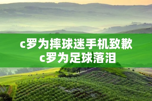 c罗为摔球迷手机致歉 c罗为足球落泪