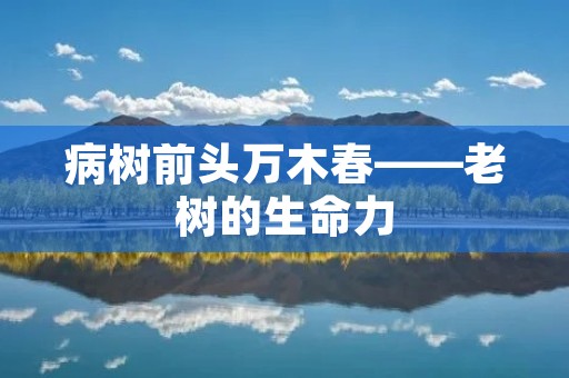 病树前头万木春——老树的生命力
