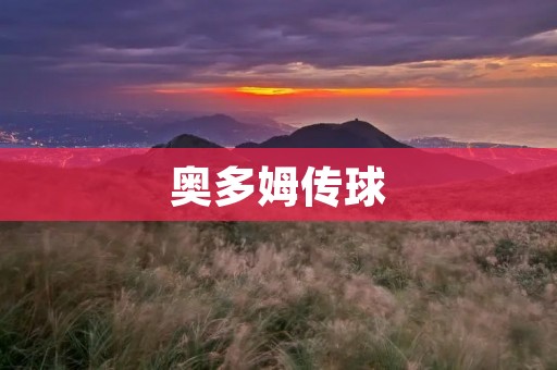 奥多姆传球：篮球场上的艺术