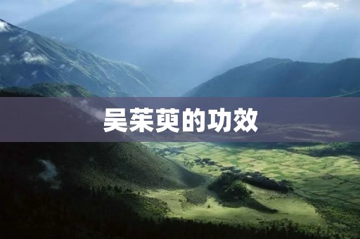 吴茱萸的功效：祛风除湿、舒筋活络、养心安神