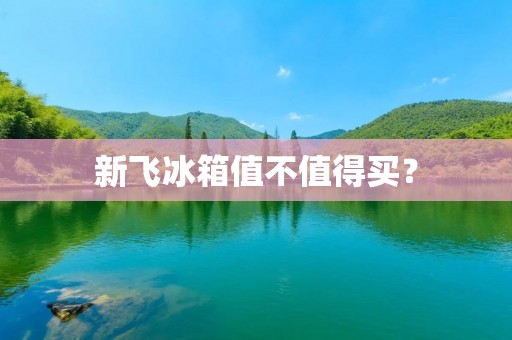 新飞冰箱值不值得买? 新飞冰箱值不值得买?