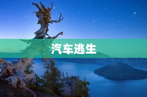 汽车逃生：如何在紧急情况下保护自己？