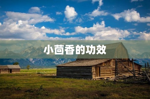 小茴香的功效:探究其药用价值 小茴香的功效:探究其药用价值