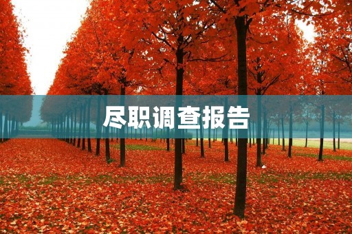 尽职调查报告:为企业投资提供决策支持