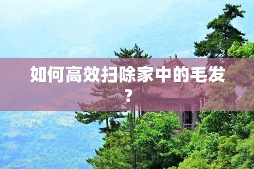 如何高效扫除家中的毛发？