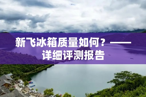 新飞冰箱质量如何?——详细评测报告 新飞冰箱质量如何?——详细评测报告