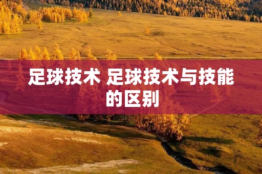 足球技术 足球技术与技能的区别