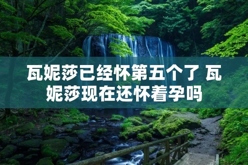 瓦妮莎已经怀第五个了 瓦妮莎现在还怀着孕吗