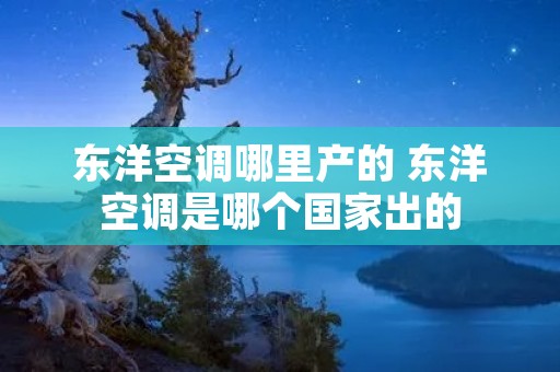 东洋空调哪里产的 东洋空调是哪个国家出的 东洋空调哪里产的 东洋空调是哪个国家出的