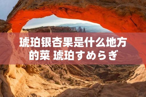 琥珀银杏果是什么地方的菜 琥珀すめらぎ