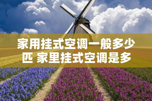 家用挂式空调一般多少匹 家里挂式空调是多少瓦的? 家用挂式空调一般多少匹 家里挂式空调是多少瓦的?