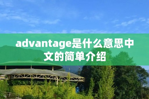 advantage是什么意思中文的简单介绍