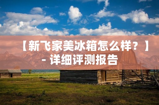 【新飞家美冰箱怎么样？】- 详细评测报告