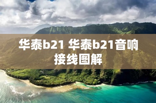 华泰b21 华泰b21音响接线图解 华泰b21 华泰b21音响接线图解