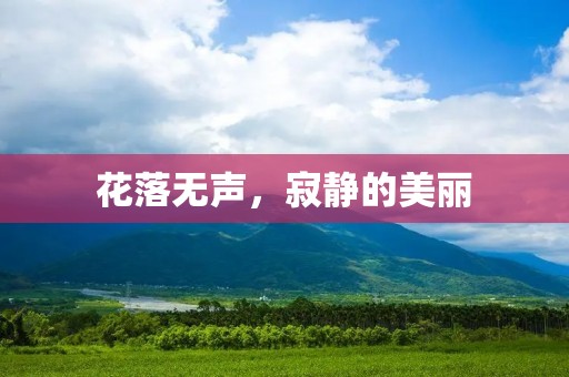 花落无声,寂静的美丽 花落无声,寂静的美丽