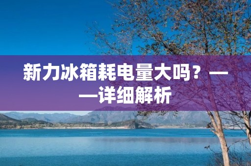 新力冰箱耗电量大吗？——详细解析