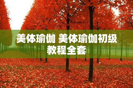 美体瑜伽 美体瑜伽初级教程全套