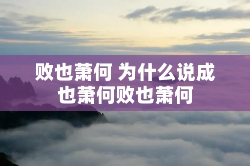 败也萧何 为什么说成也萧何败也萧何