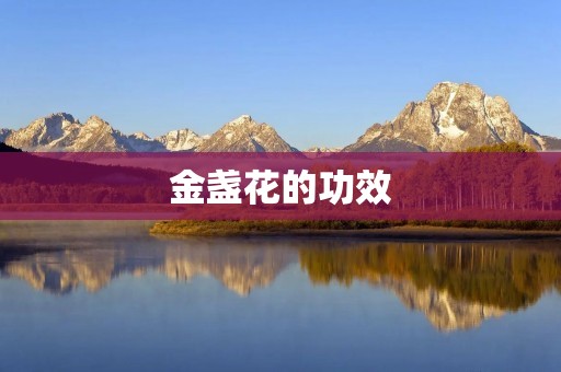 金盏花的功效:神奇的花朵 金盏花的功效:神奇的花朵