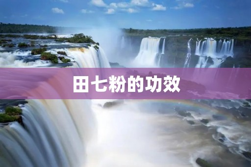 田七粉的功效:祛风止痛,活血化瘀,调节血压,抗炎抗菌 田七粉的功效:祛风止痛,活血化瘀,调节血压,抗炎抗菌