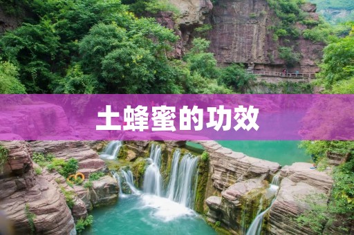 土蜂蜜的功效:让你爱上这份自然的馈赠 土蜂蜜的功效:让你爱上这份自然的馈赠