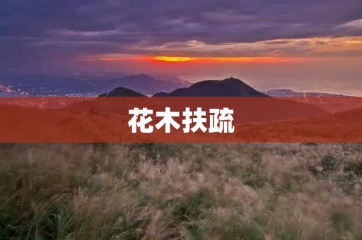 花木扶疏:打造城市生态绿化新风景 花木扶疏:打造城市生态绿化新风景