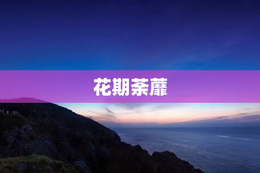 花期荼蘼：春日里的美丽盛景