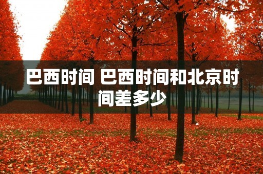 巴西时间 巴西时间和北京时间差多少 巴西时间 巴西时间和北京时间差多少