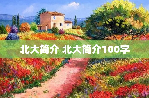 北大简介 北大简介100字