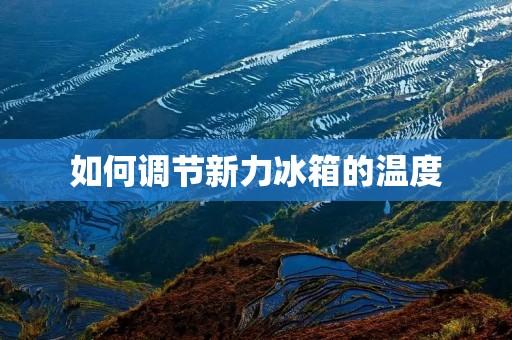 如何调节新力冰箱的温度 如何调节新力冰箱的温度
