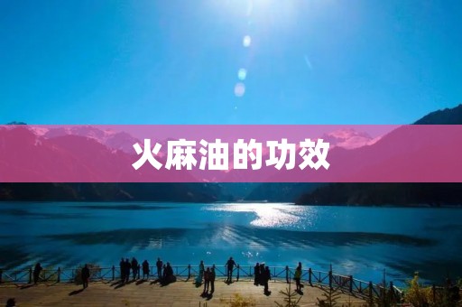 火麻油的功效：解密一种神奇的健康食品