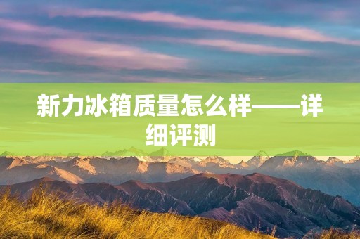 新力冰箱质量怎么样——详细评测