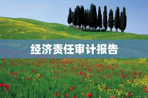 经济责任审计报告:揭示企业经济责任的真相