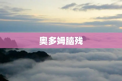奥多姆脑残：NBA巨星的荣耀与落魄