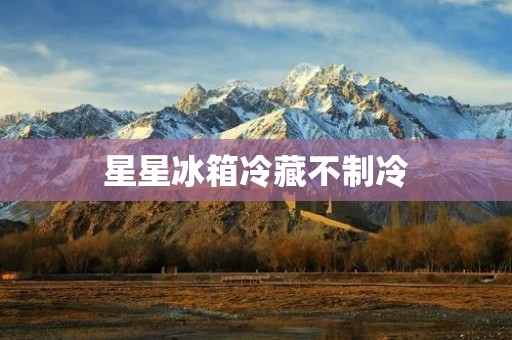 星星冰箱冷藏不制冷:如何解决? 星星冰箱冷藏不制冷:如何解决?