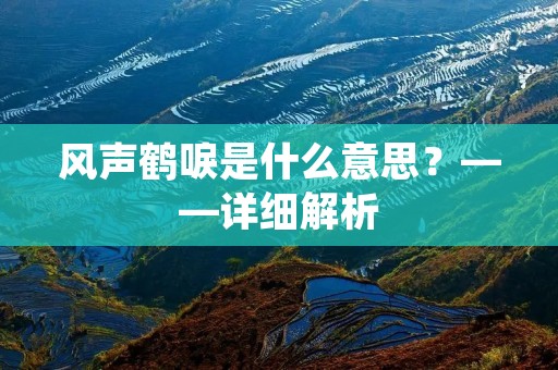 风声鹤唳是什么意思？——详细解析