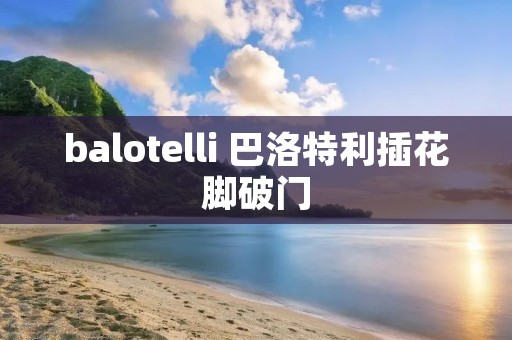 balotelli 巴洛特利插花脚破门